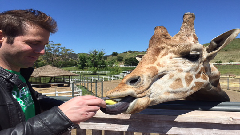 Stanley the Giraffe (Malibu Wine Safari Tour)
