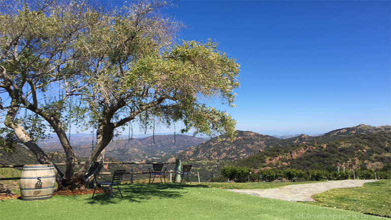 The view from Le Chateau at Malibu Wines Safari Tour.