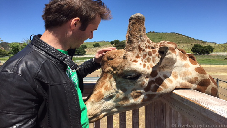 Stanley the Giraffe at the Malibu Wine Safari Tour.