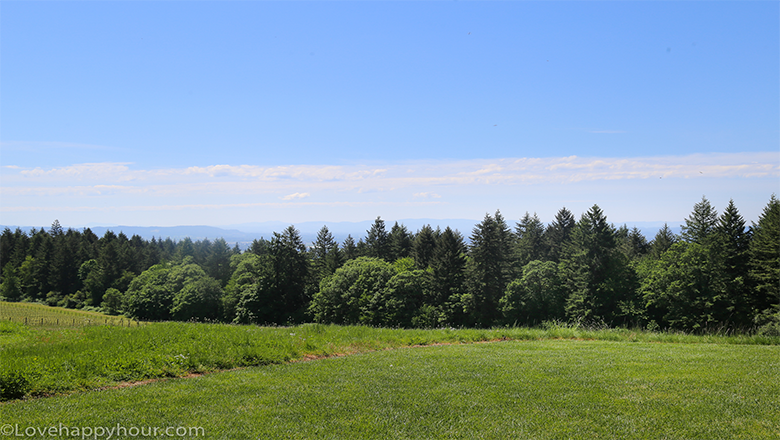 The view at Domaine Serene in Willamette Valley.