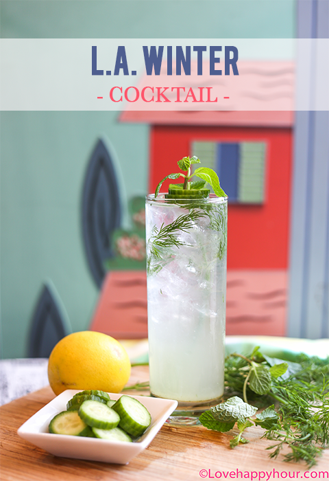 L.A. Winter Cocktail #vodka #vodkapress #recipe #lowcalorie #cocktail  @lovehappyhour