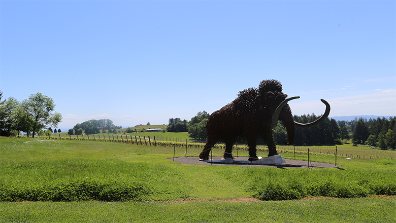 Mammoth sculpture at Domaine Serene in Willamette Valley, Oregon.