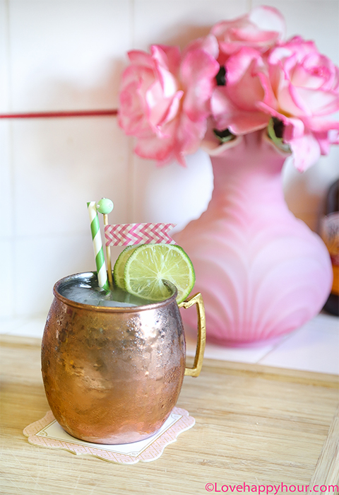 Great Gatsby Cocktail: The Millionaire Mule (a Skinny Moscow Mule Recipe) by Maren Swanson.