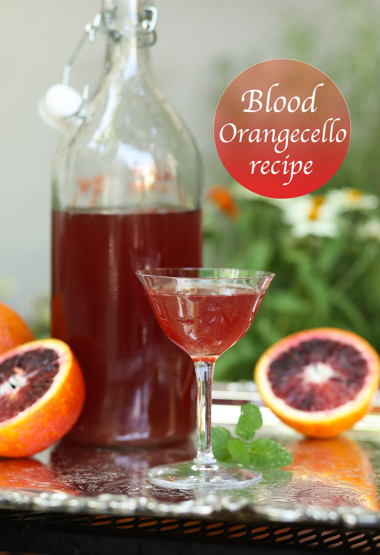 Blood Orangecello recipe | LOVE HAPPY HOUR