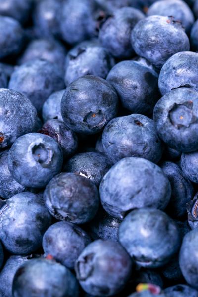 Fresh Blueberries