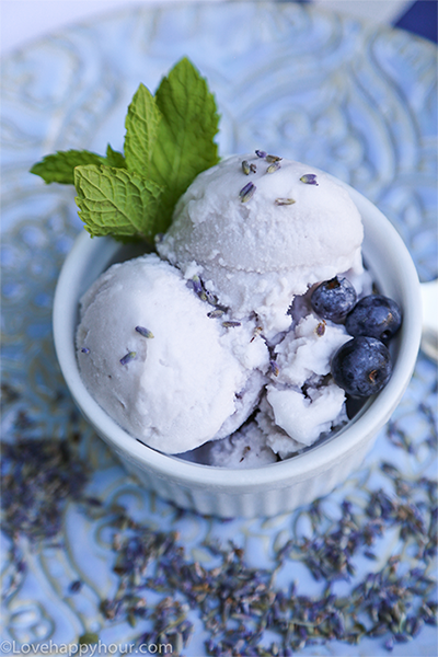 Lavender and Blueberry Ice Cream Recipe by Maren Swanson.