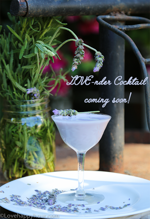 Lavender Cocktail from LoveHappyHour.com 