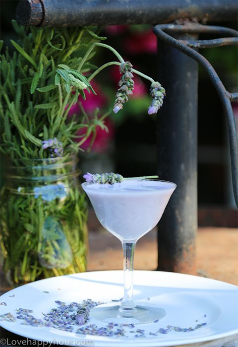 LOVEnder Cocktail recipe.  #engaged #engagement #cocktail #recipe #lavender