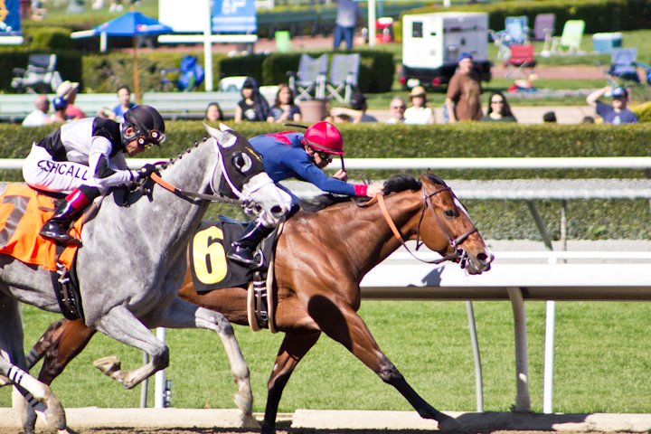 Santa Anita Park