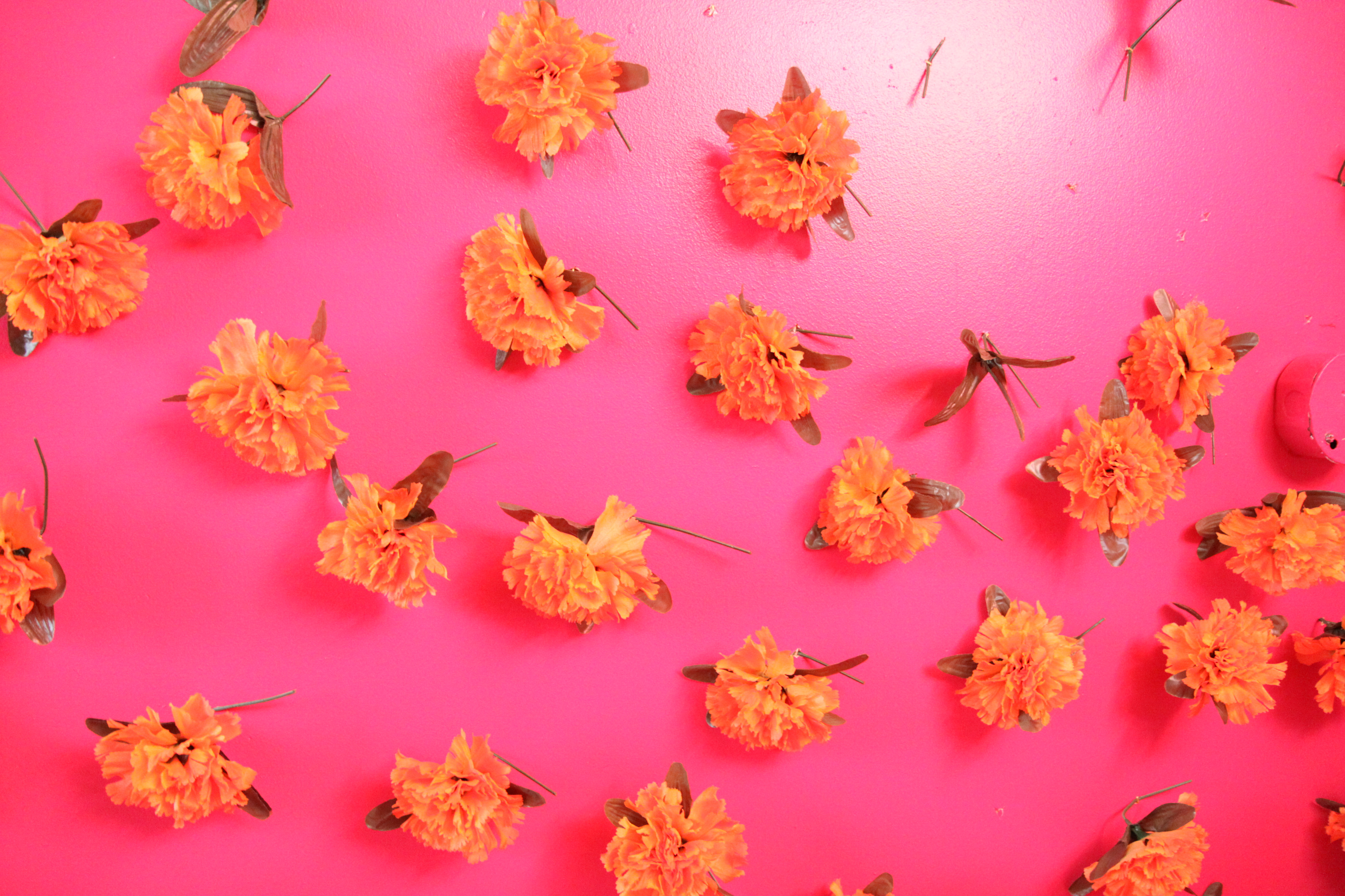 pink flowers