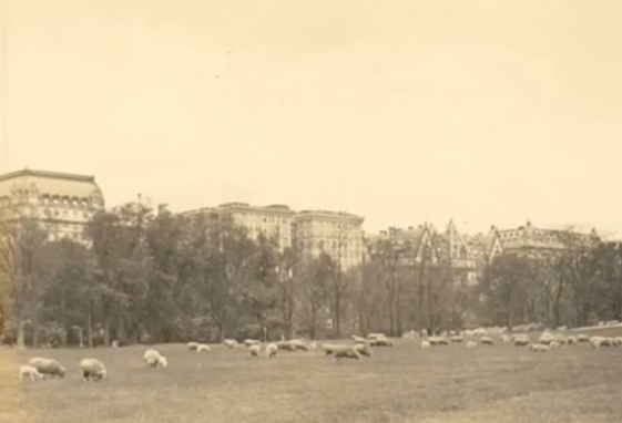 Tavern on the Green